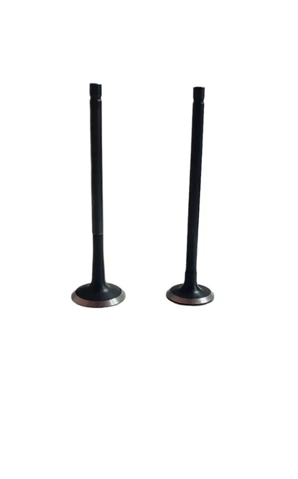 Valvulas Admision Y Escape Boxer Bm 100 Discovery 100