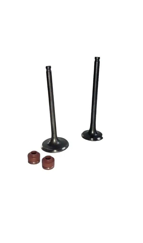 Válvulas Admisión Y Escape + Yamaha Crypton Fi 115