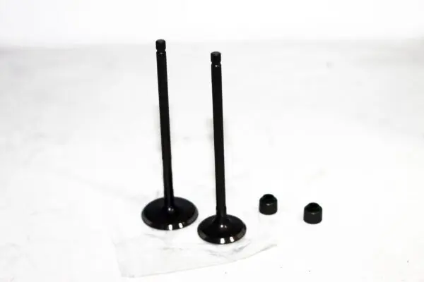 Válvulas + Sellos Auteco Pulsar Ns 200