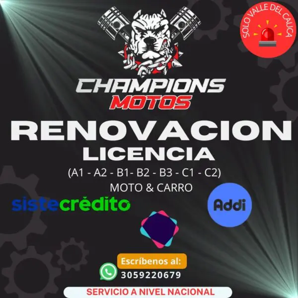 Renovacion de licencia de conduccion nacional e internacional