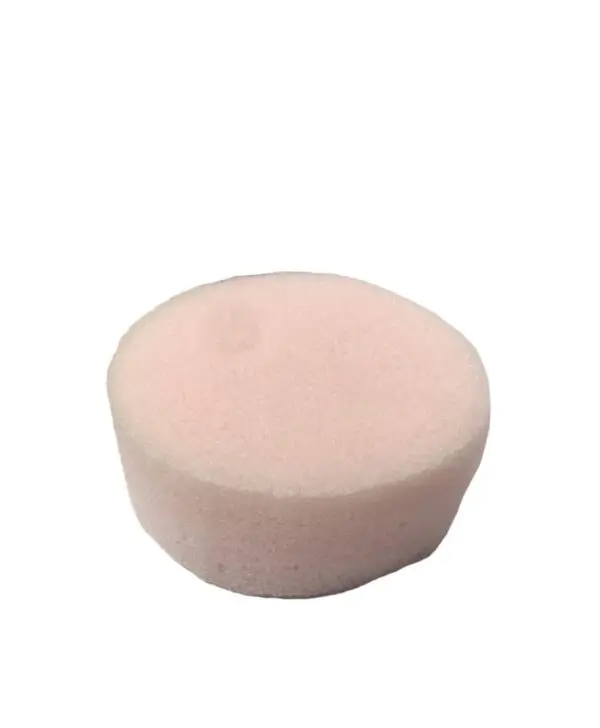 Esponja para limpiar pysta