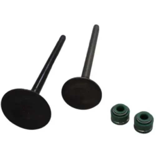 Kit Válvulas AK 125 Akt Original