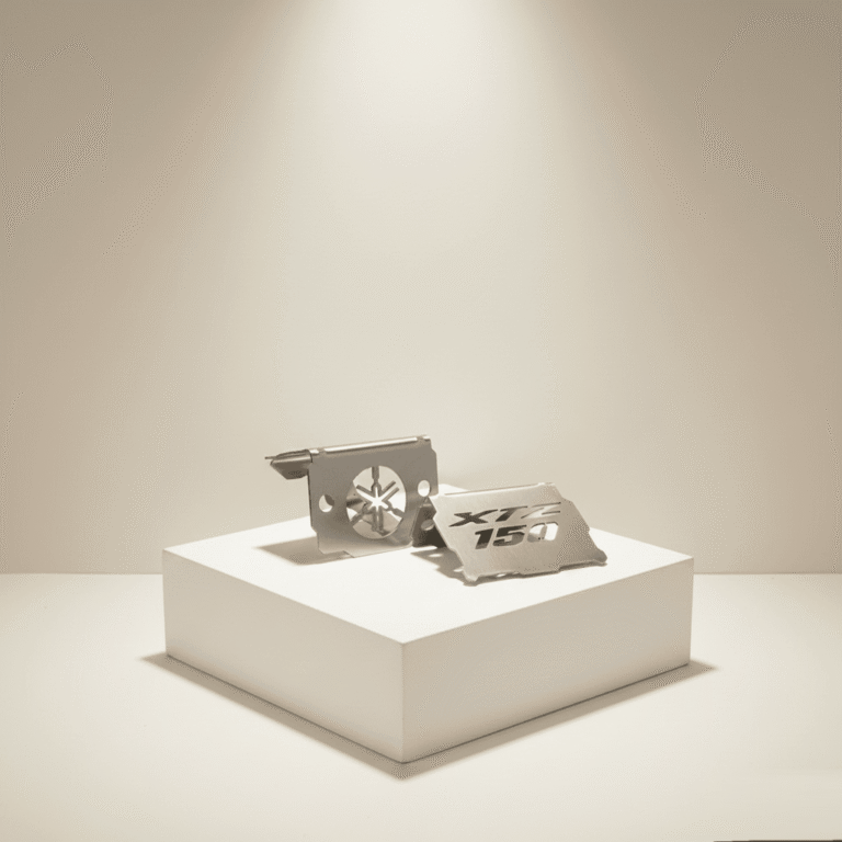 Protector Bomba Freno Acero Inoxidable Yamaha XTZ 150