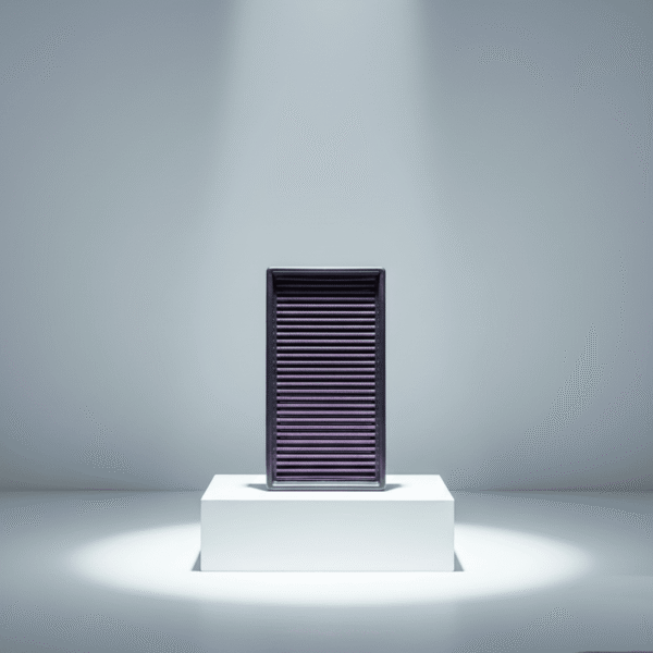 Filtro De Aire K&n Pulsar Ns 200 Moto