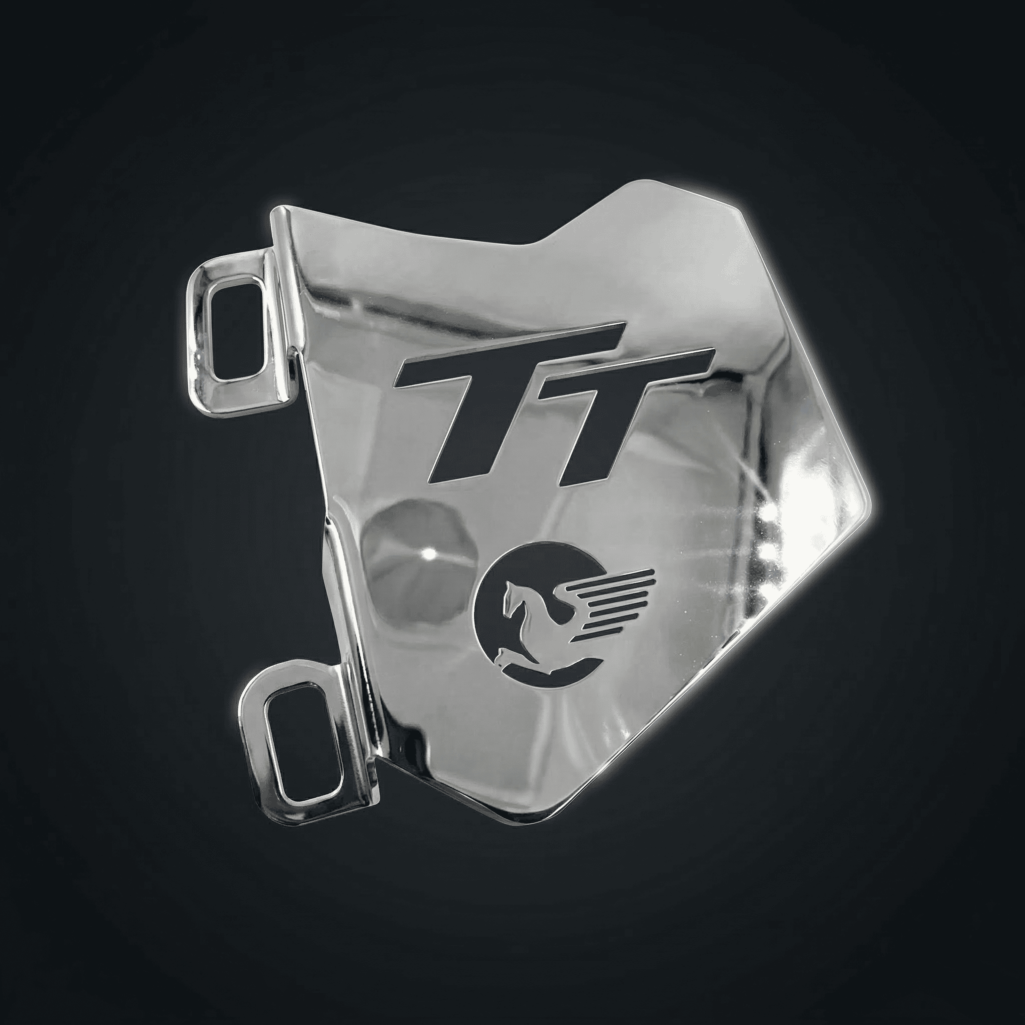 Protector De Mordaza AKT TTR 150 180 200 Acero Inoxidable(1) Protector De Mordaza AKT TTR 150 180 200 Acero Inoxidable