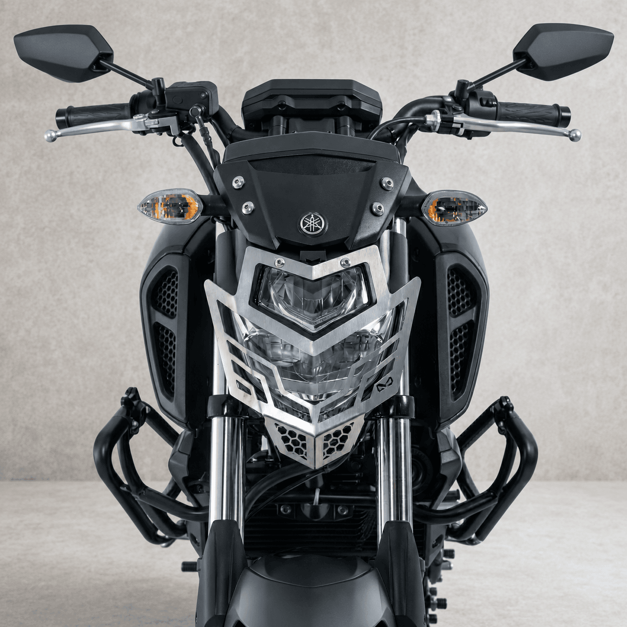Protector de Farola Premium