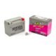 Batería Tezla YB6.5L-B Para Motos AKT NKD 125 / TT 125 / TT 150 / TT 125R / TT 150R